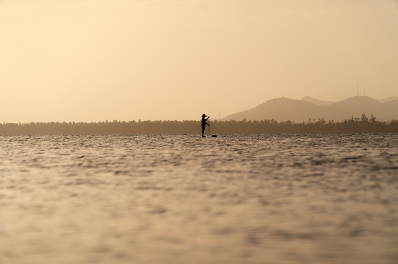 Golden Paddleboards