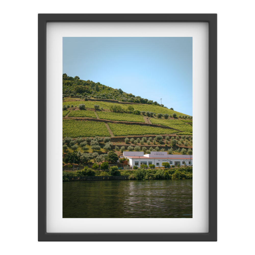 Quinta das Carvalhas – Wine Heritage