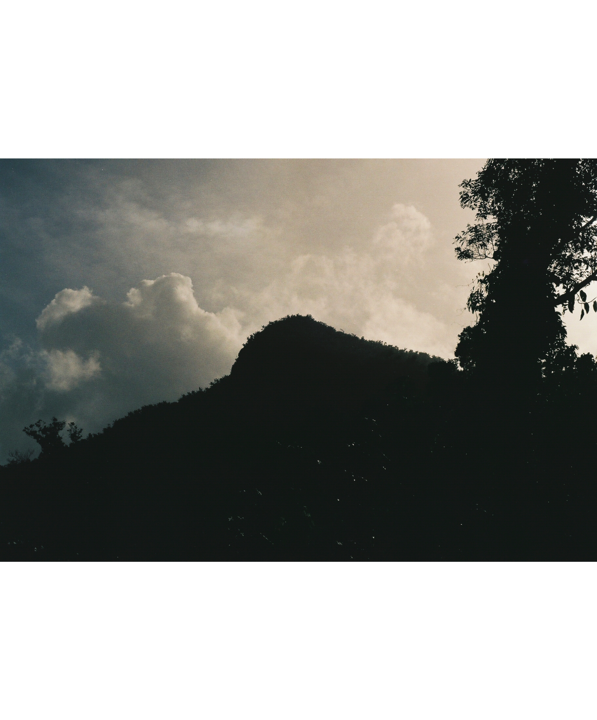 Montaña Musa (El Yunque)