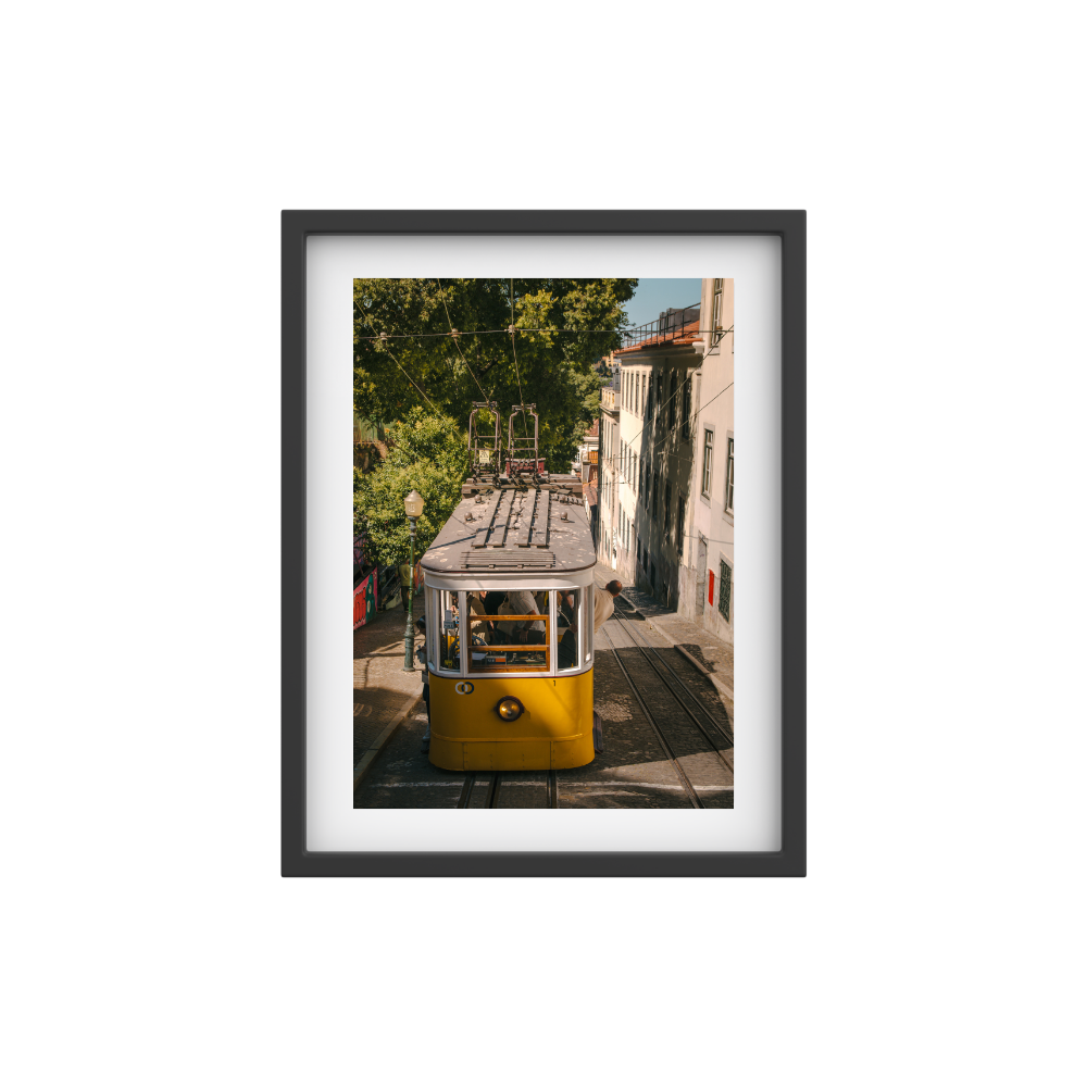 Tram Double-Take