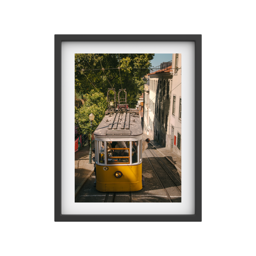 Tram Double-Take