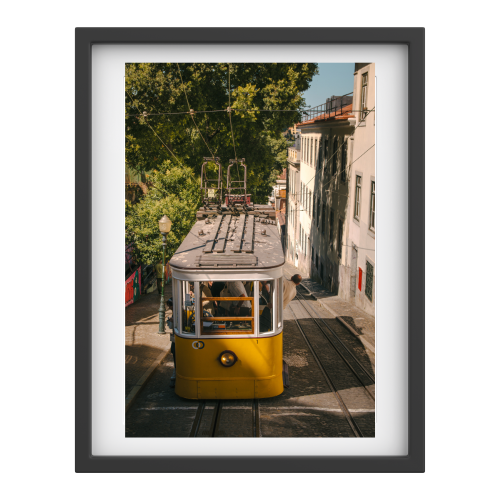 Tram Double-Take