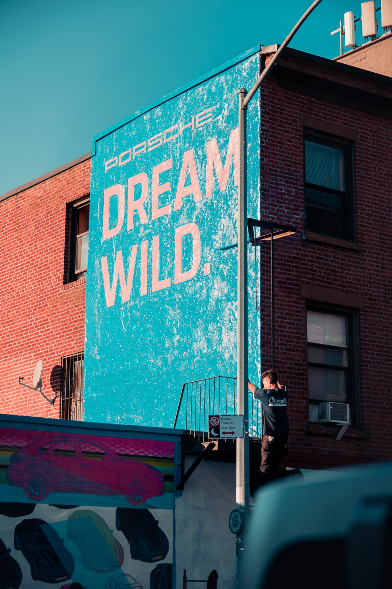 Dream Wild (Brooklyn, New York City)