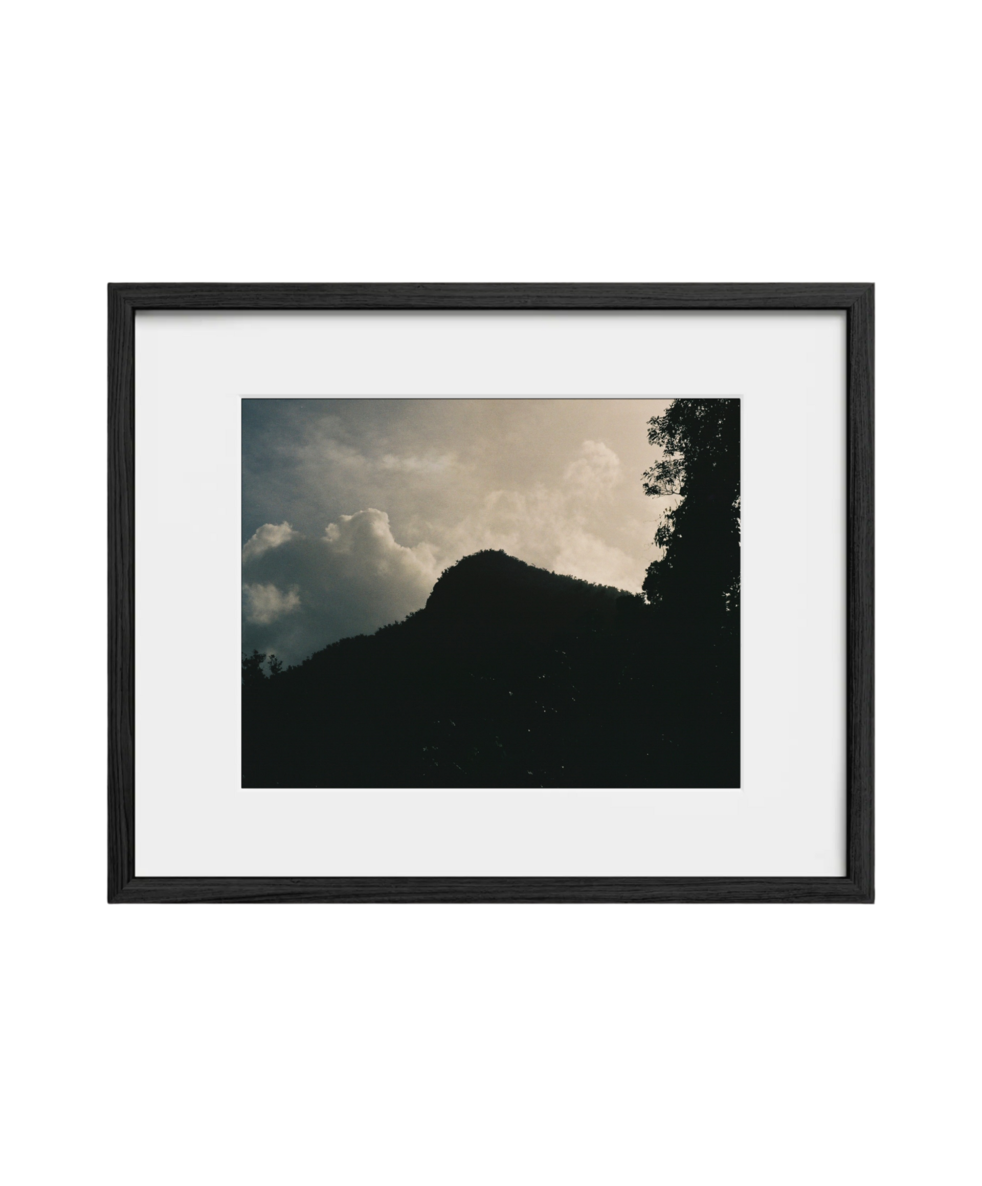 Montaña Musa (El Yunque)