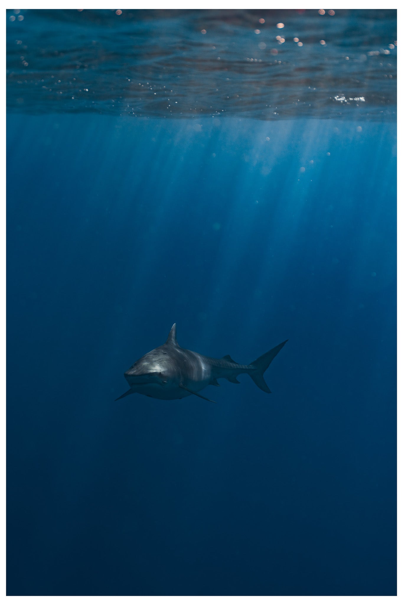 What Lies Beneath