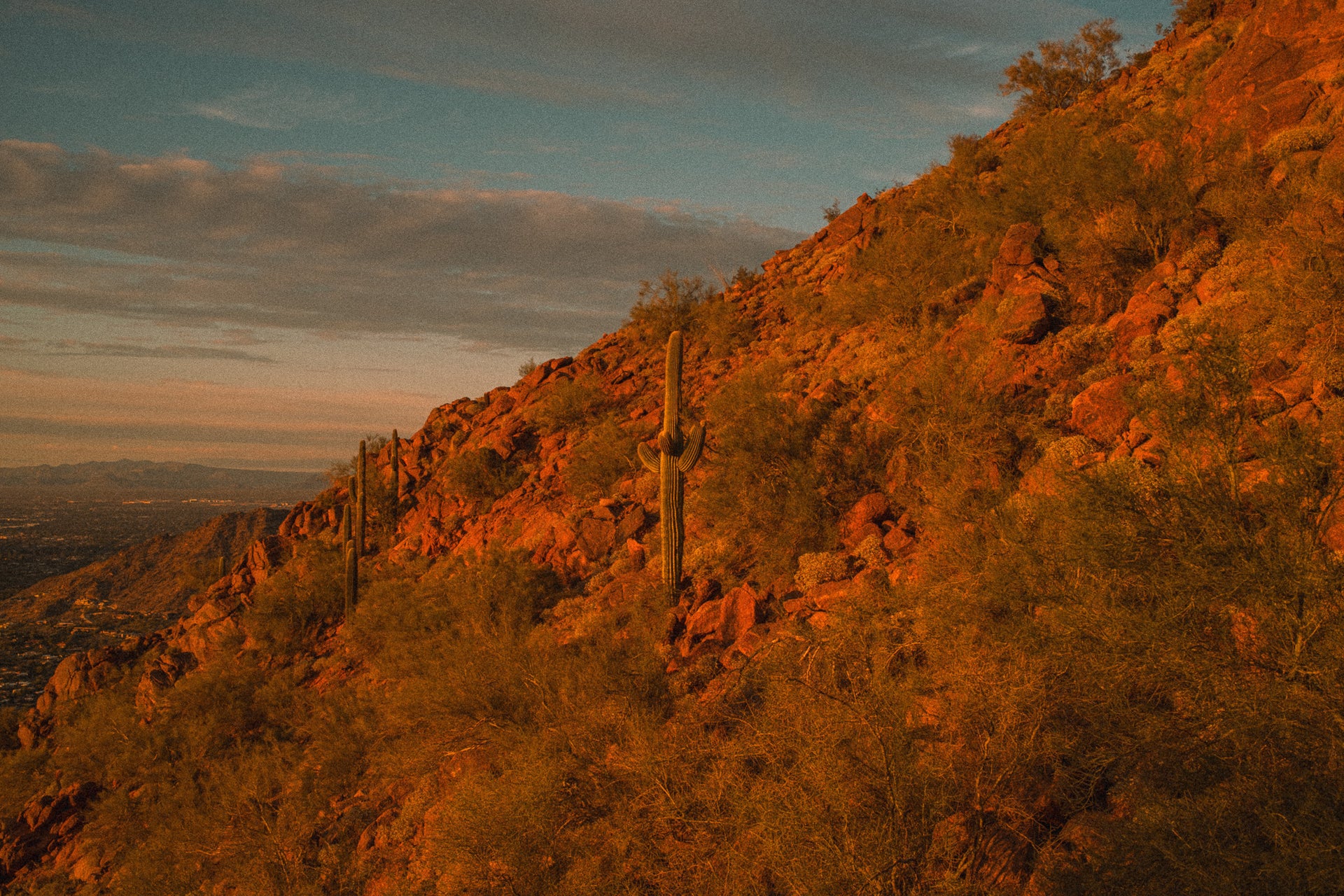 Out West