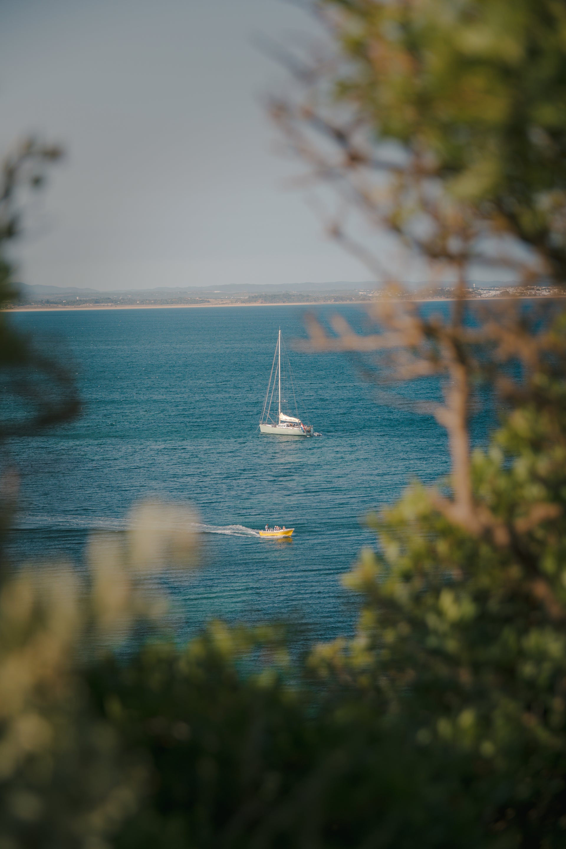 Speed & Sail (Lagos, Portugal)