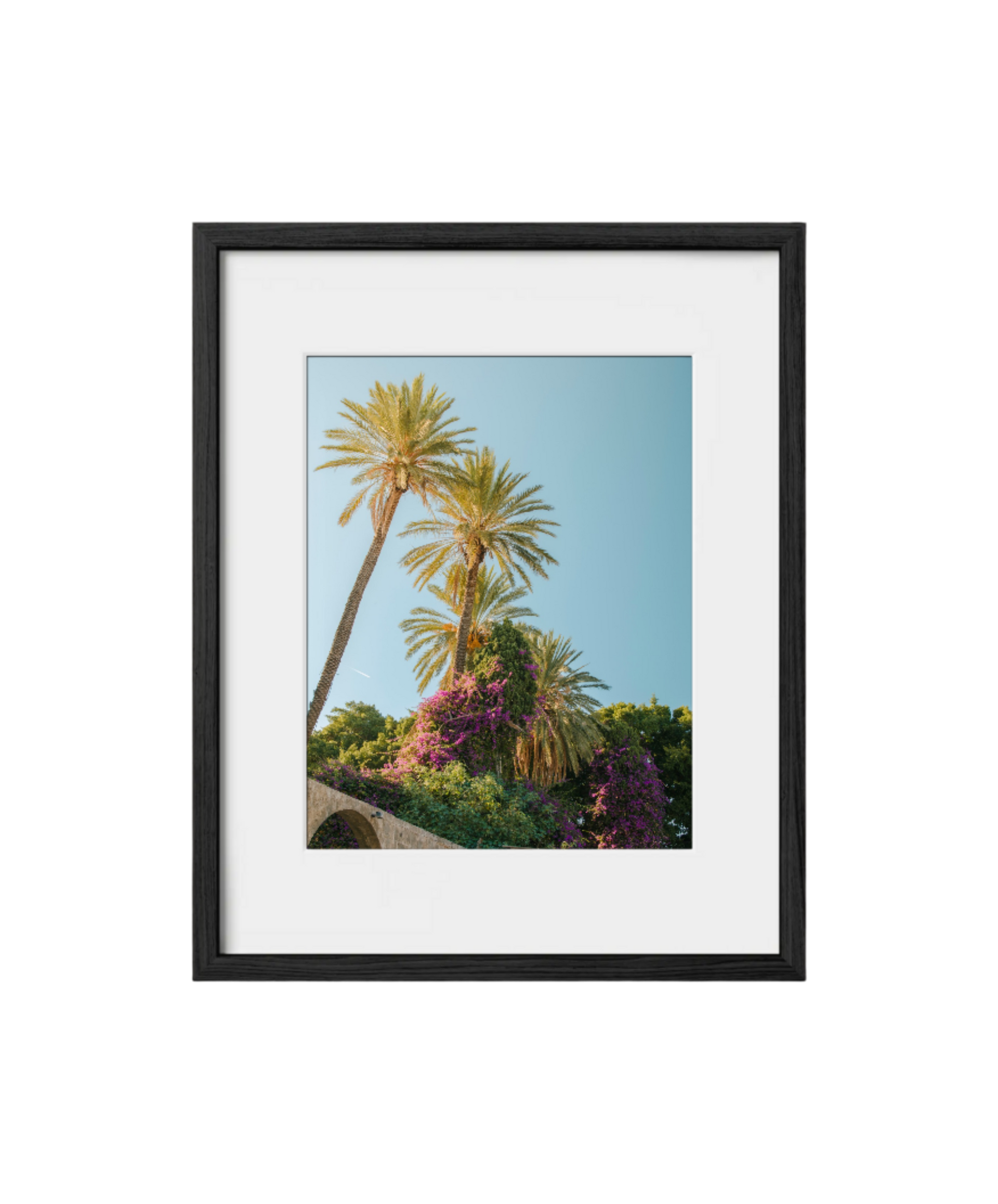 Mediterranean Bloom (Rhodes, Greece)
