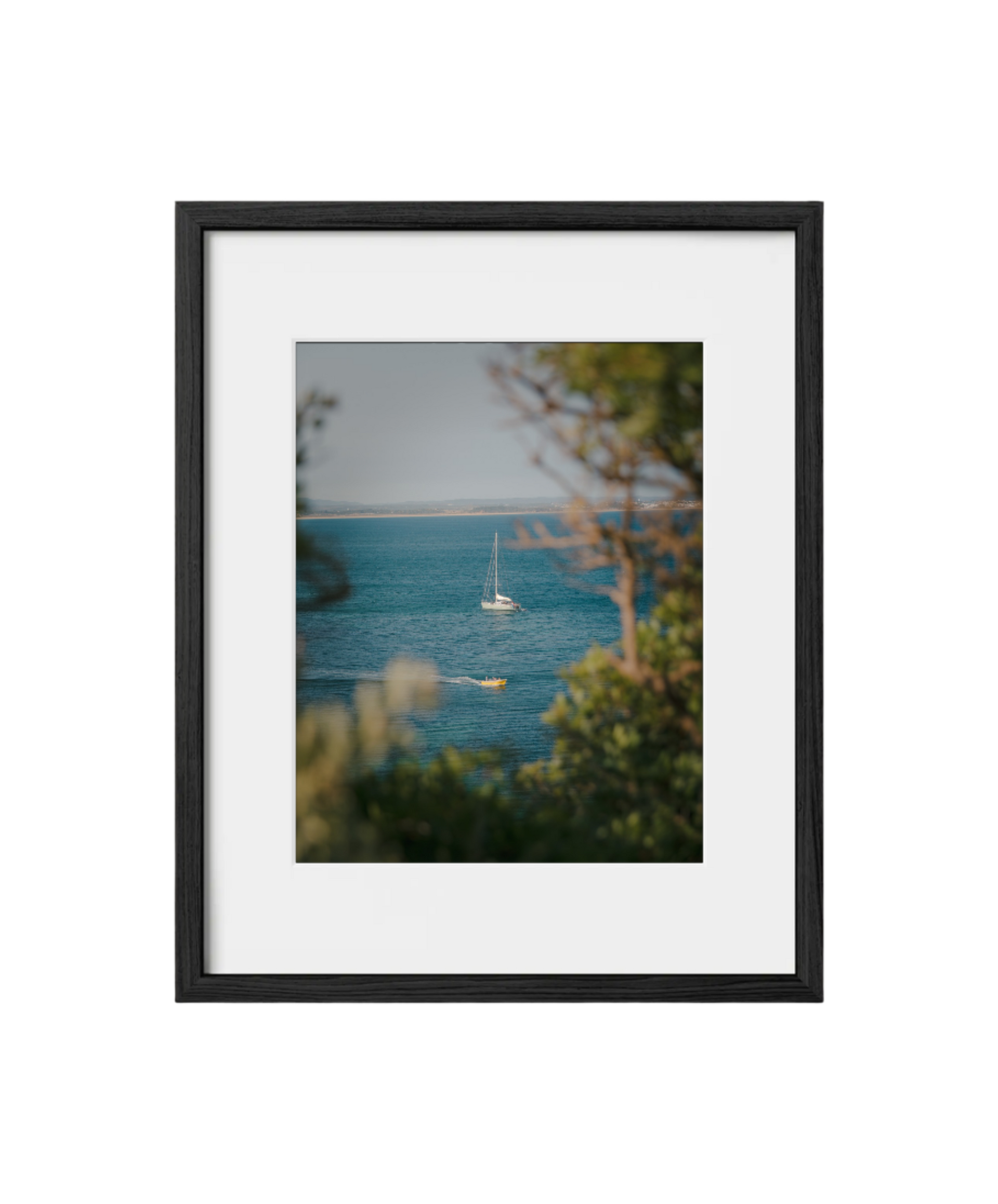 Speed & Sail (Lagos, Portugal)