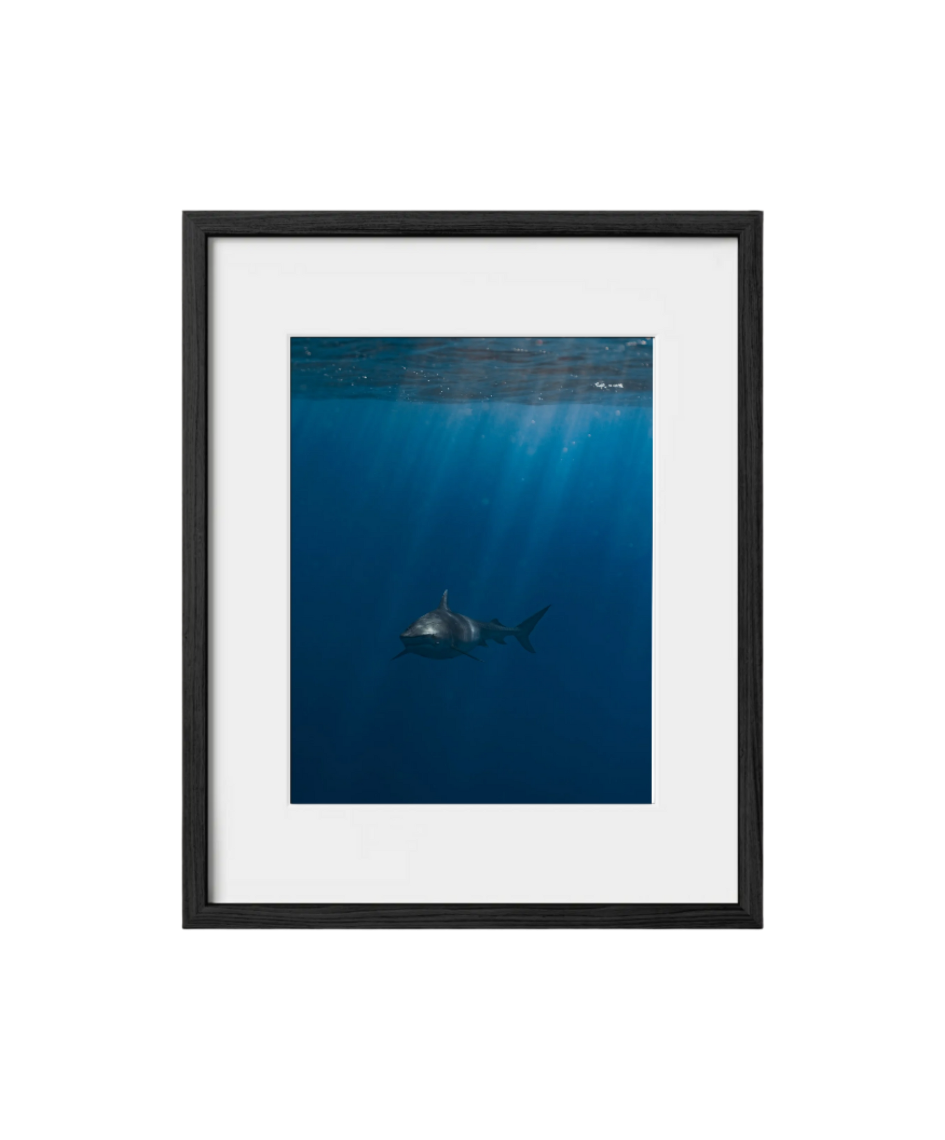 What Lies Beneath