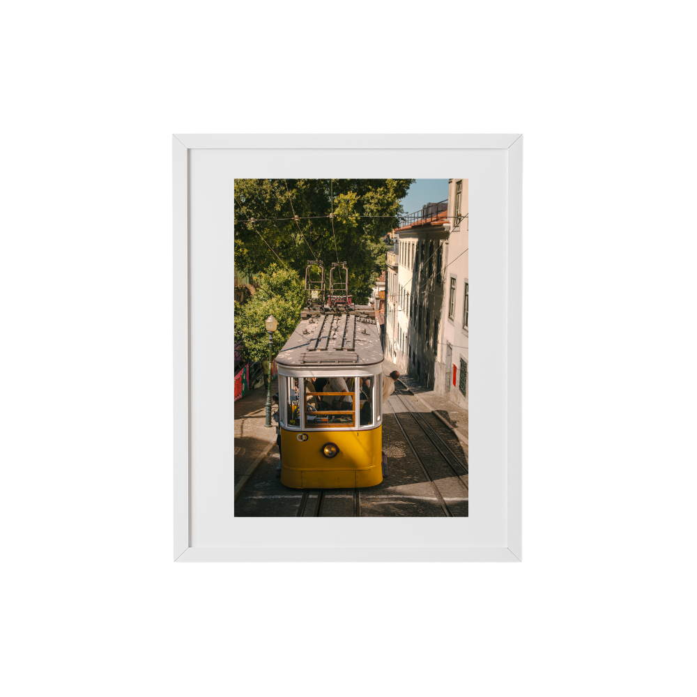 Tram Double-Take