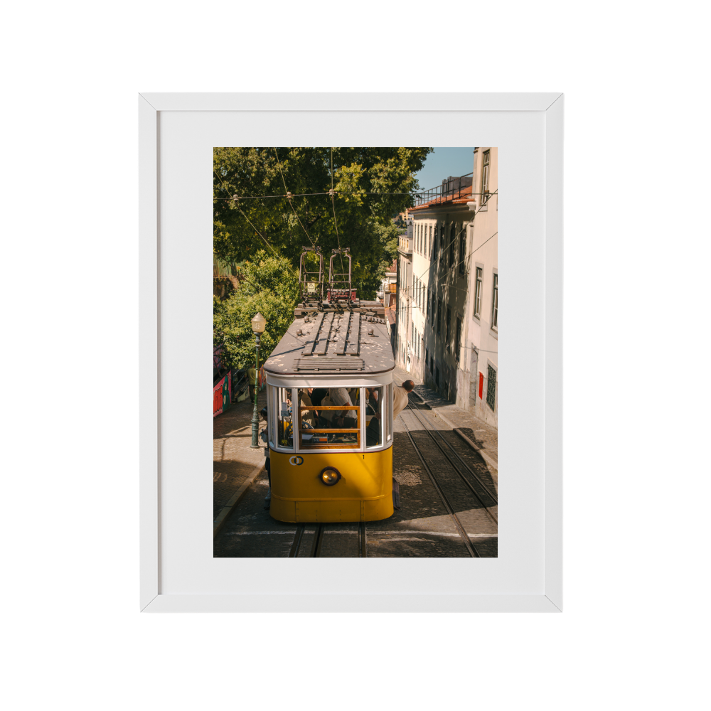 Tram Double-Take