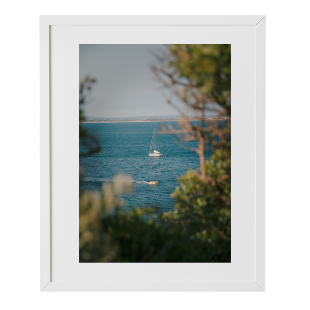 Speed & Sail