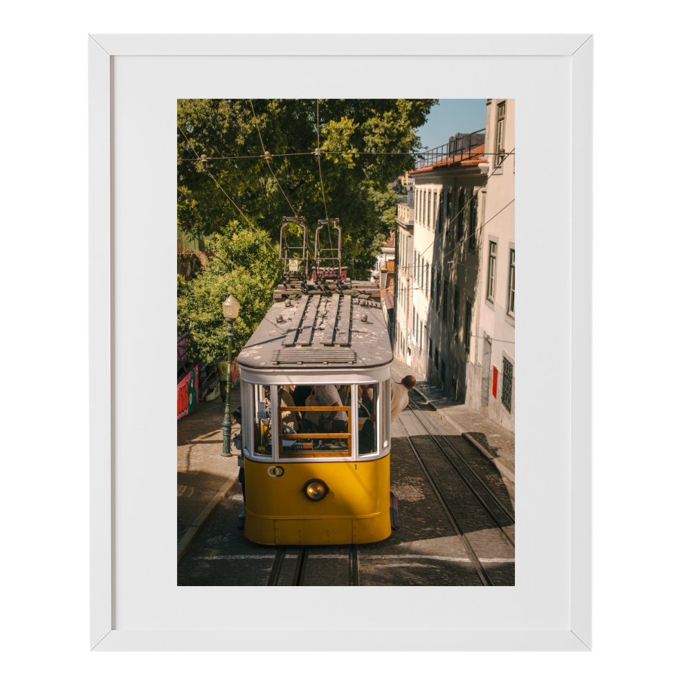 Tram Double-Take