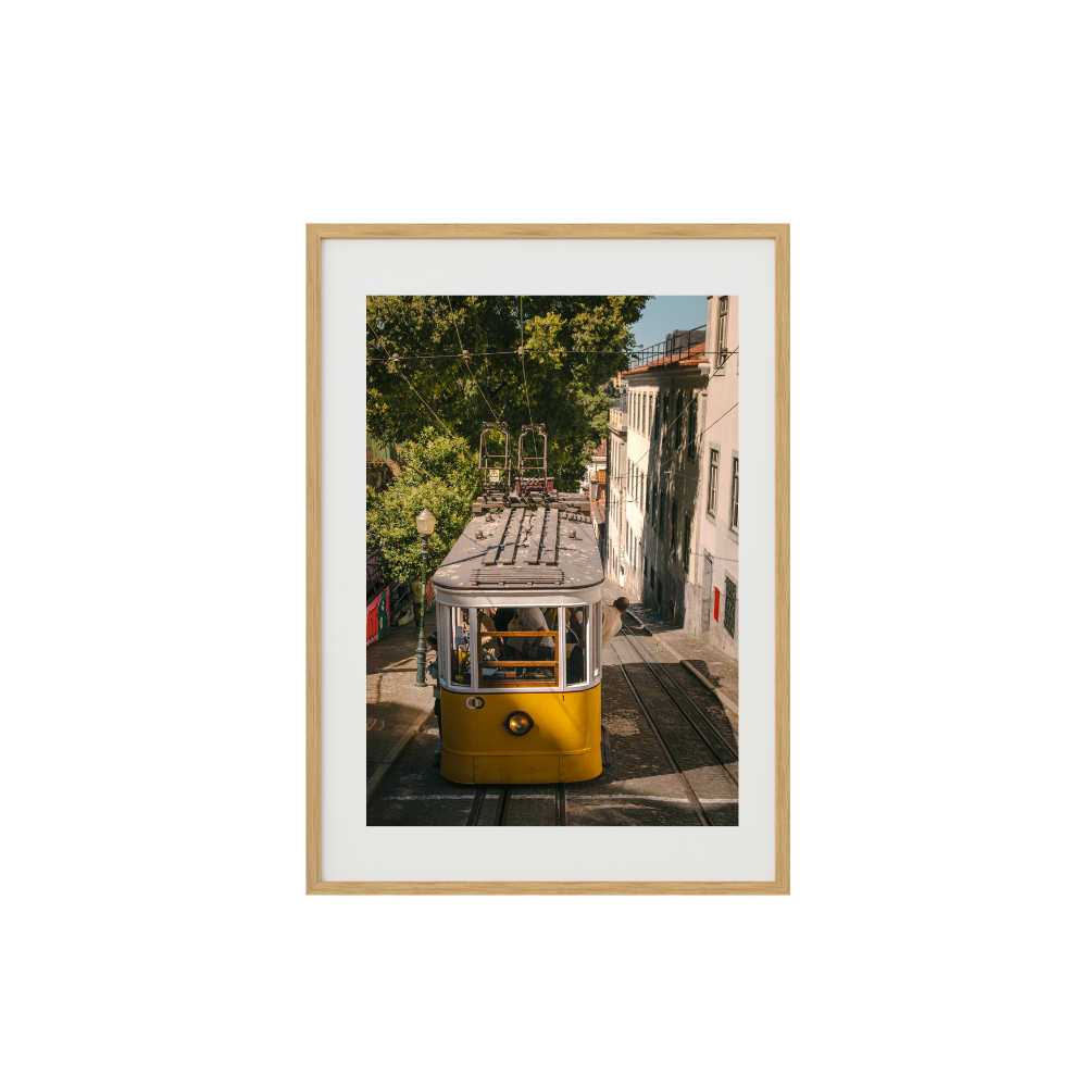 Tram Double-Take