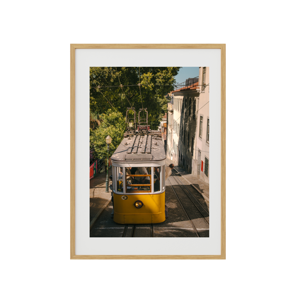 Tram Double-Take