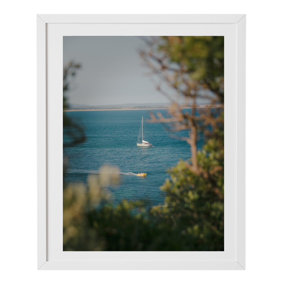 Speed & Sail