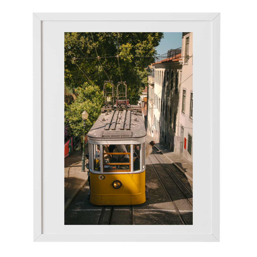 Tram Double-Take